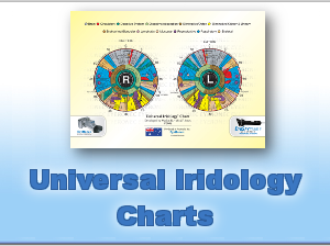 Universal® Iridology Desk Chart (300x420mm)