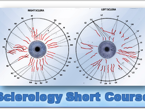 Sclerology Course